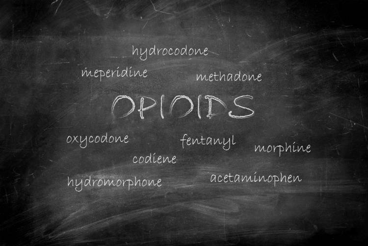 Blackboard listing opioid drugs