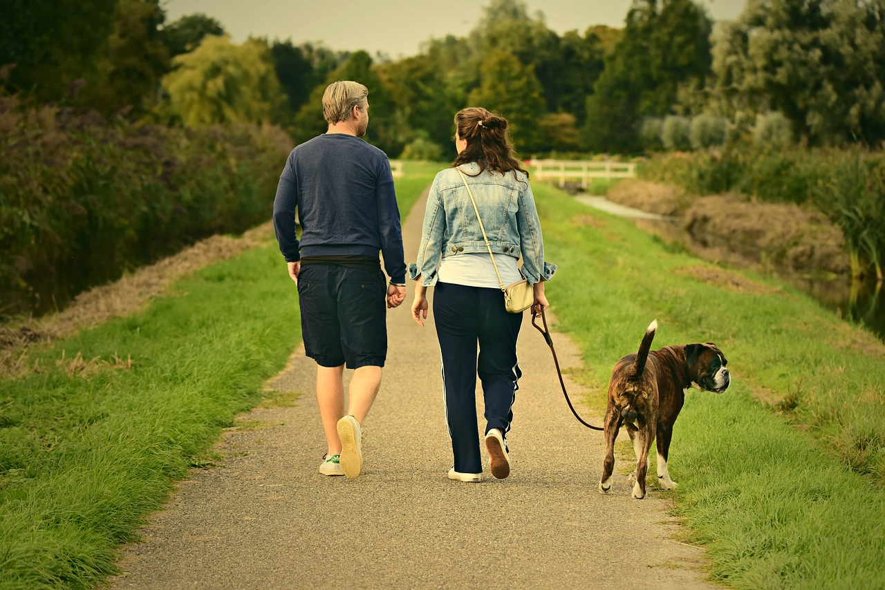 couple walking a dog