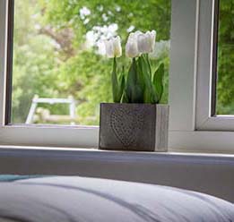 Flowers On Bedroom Windowsill