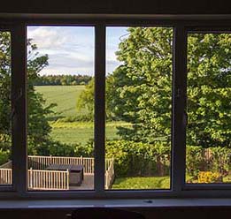 The rehab gardens seen through the window